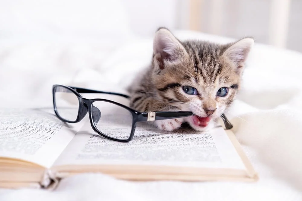 Daily Finds: Wednesday, March 25