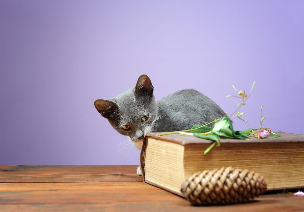 Daily Finds: Thursday, April 23rd