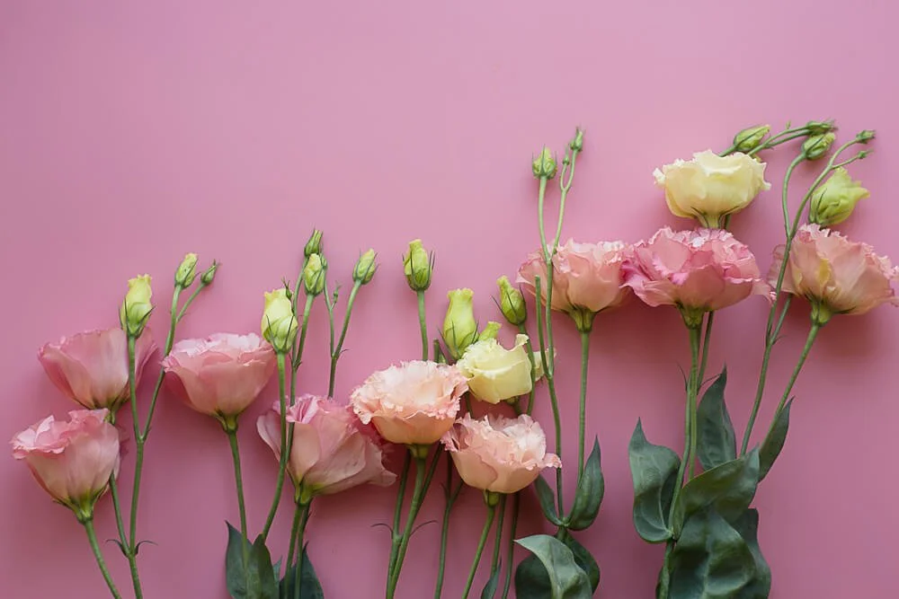 Daily Finds: Thursday, May 28th