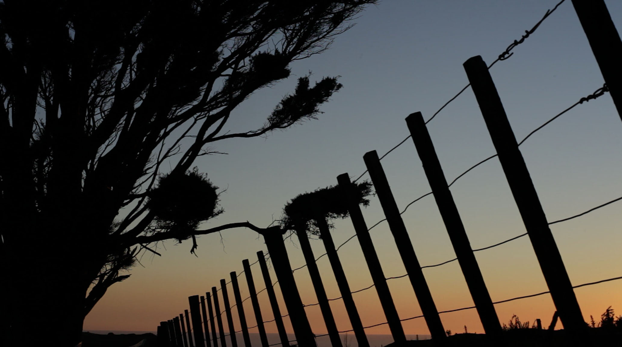 Cowboy_Fence.jpg