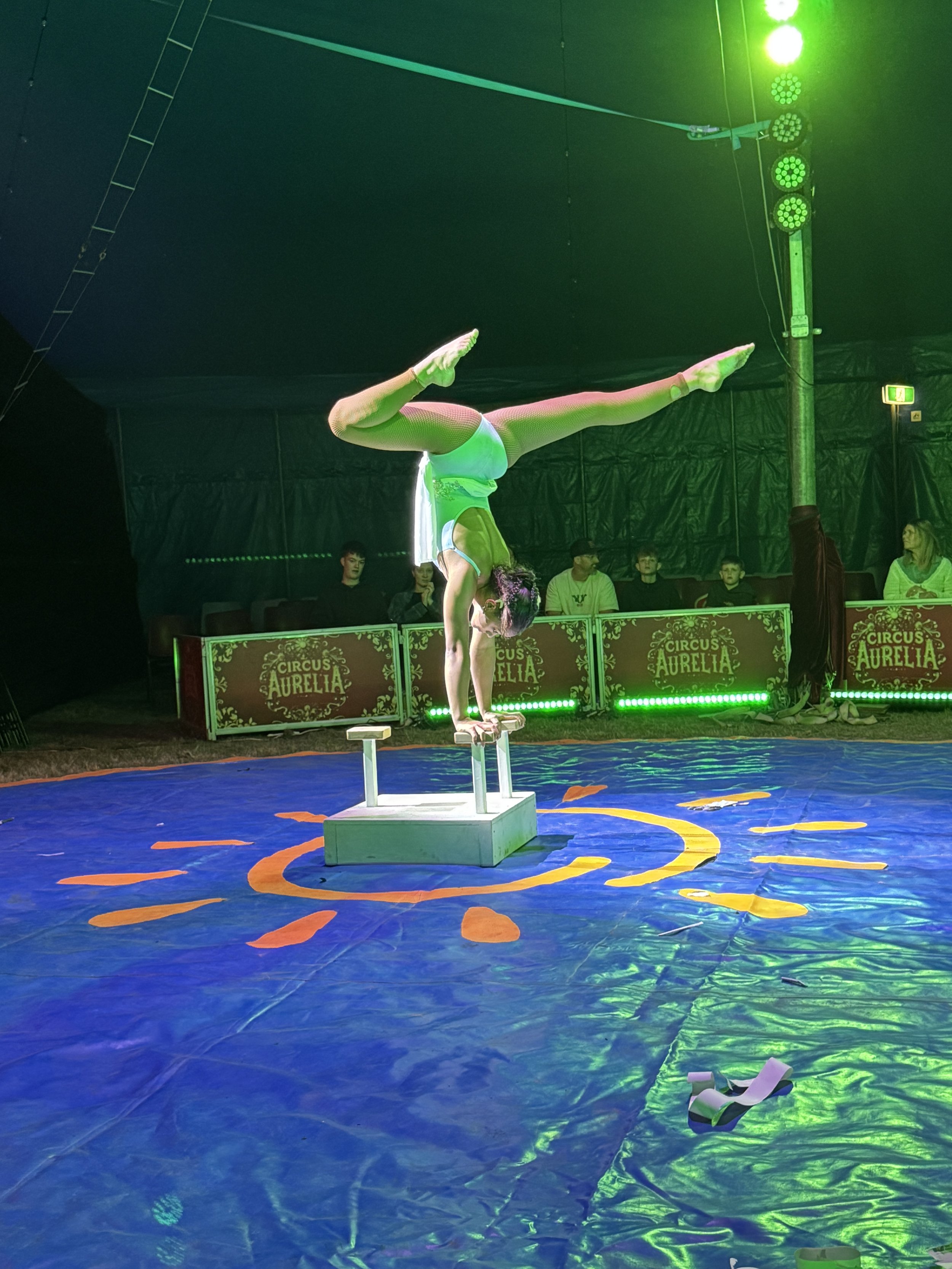 IMG_6253 - Marley Zenith.jpeg