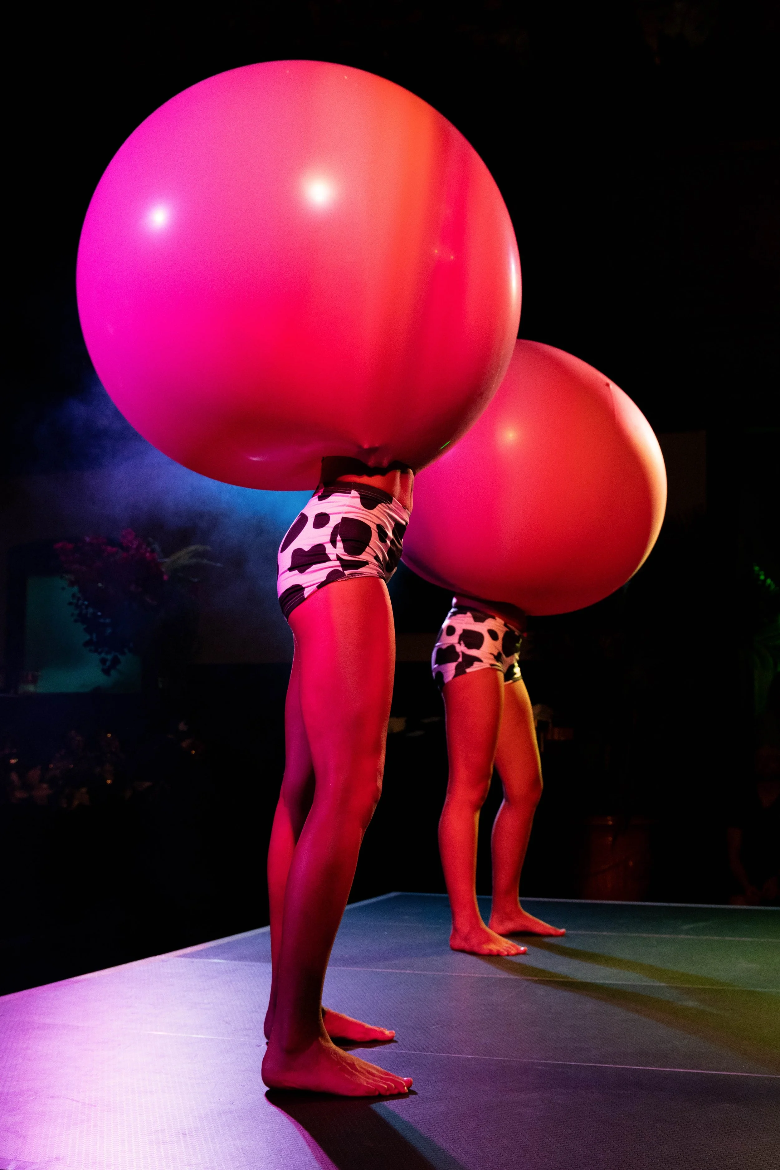 IMG_1187 - Jess Sewell.JPG