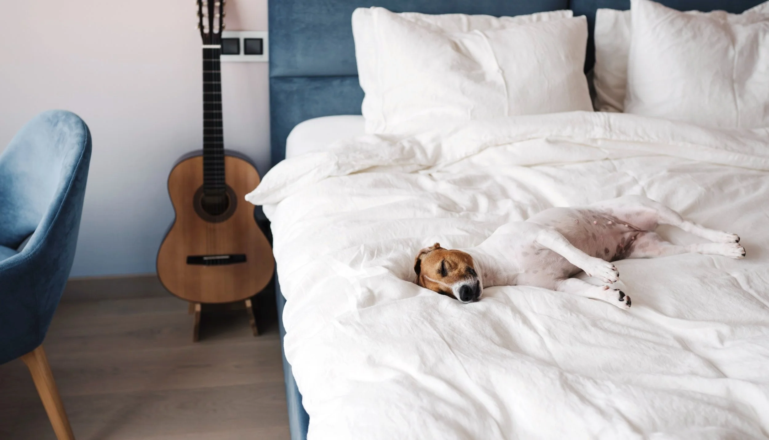 The Best Fabrics for Your Rental Property