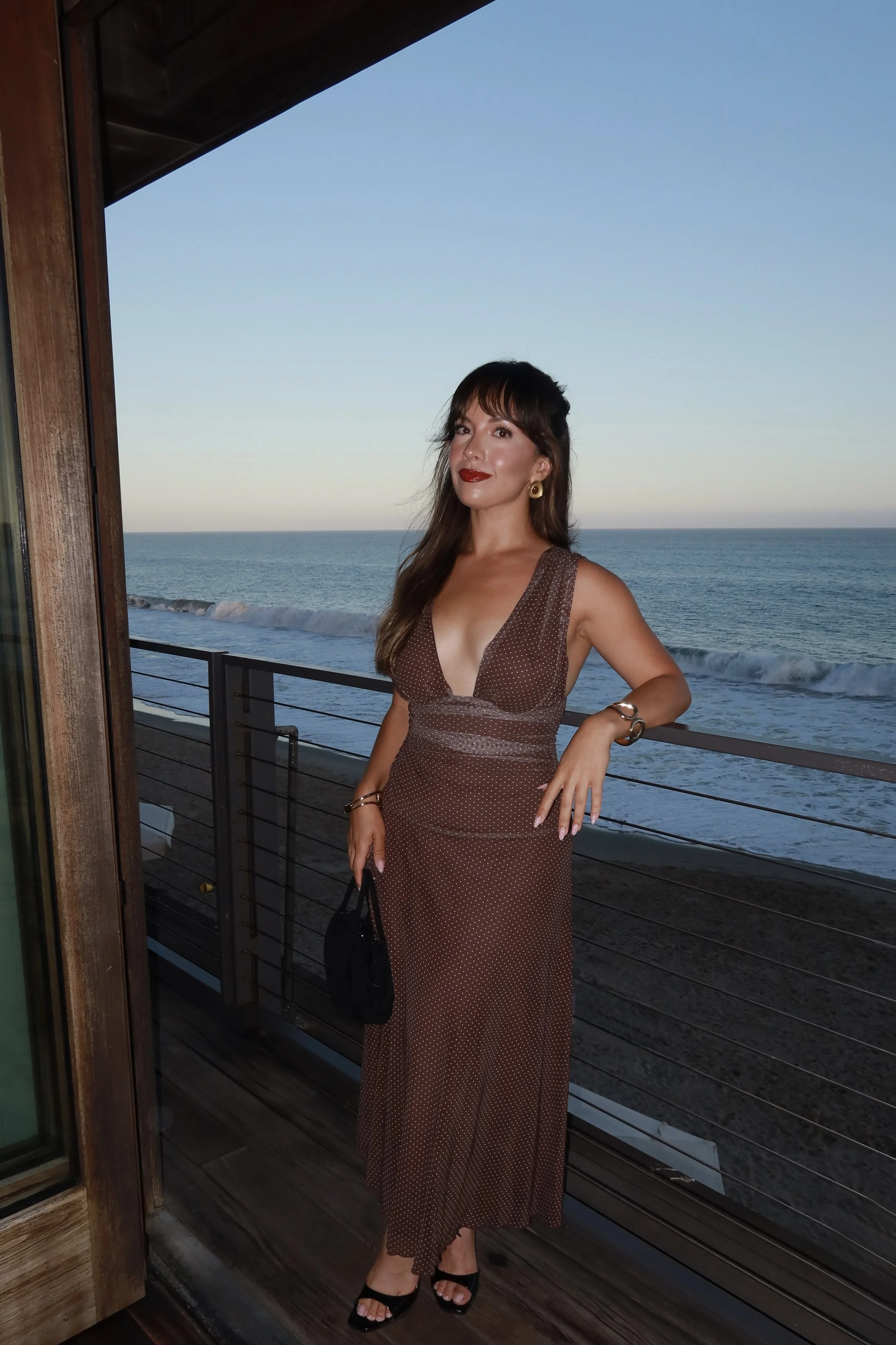 Brown Polka-Dot Mesh Maxi Dress
