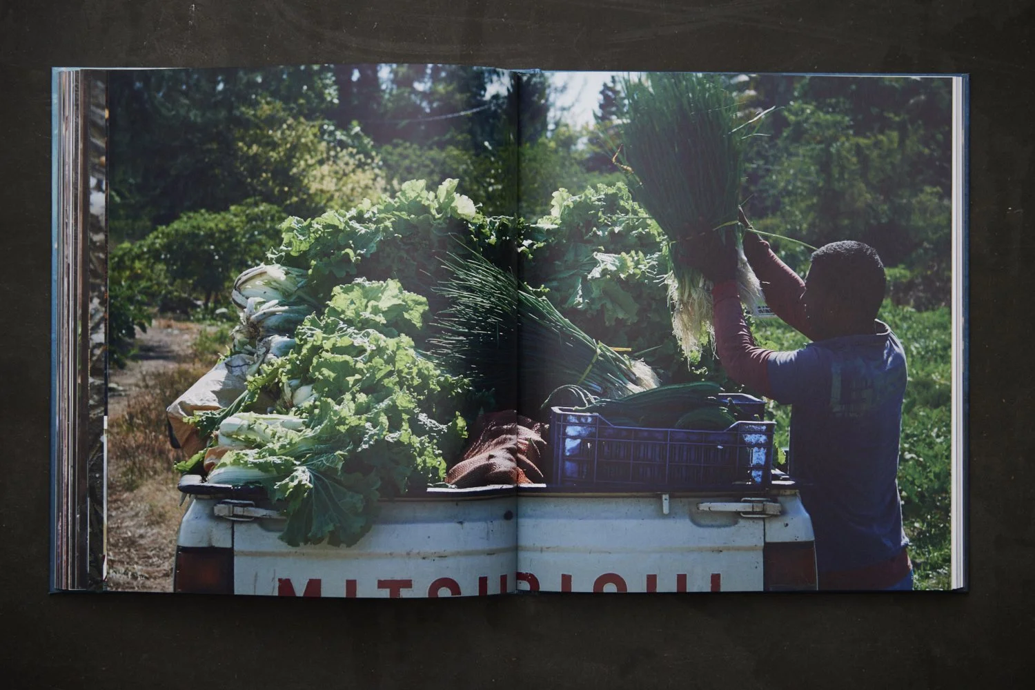 AQUACASIA Book Cover [Published]