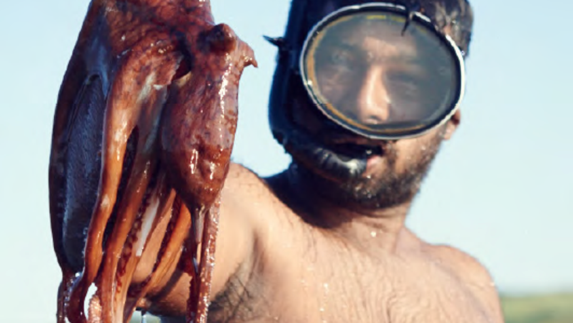 Cook Book produced in Mauritius