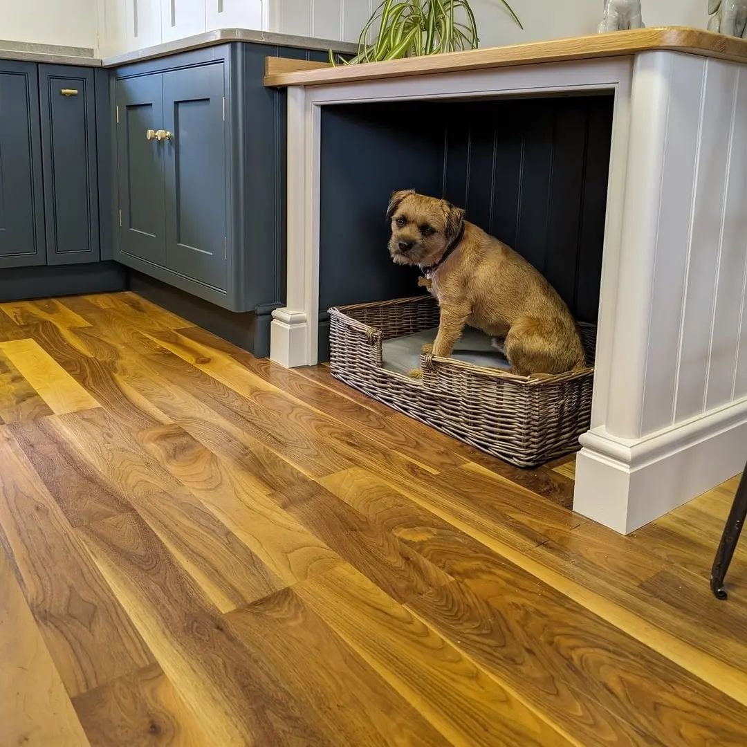The perfect space for your furry friend.
Border Terrier approved!

#borderterrier #michaeljamesfurnitureltd #dog #bespoke #dogbed #handcrafted #clitheroe #lancashire