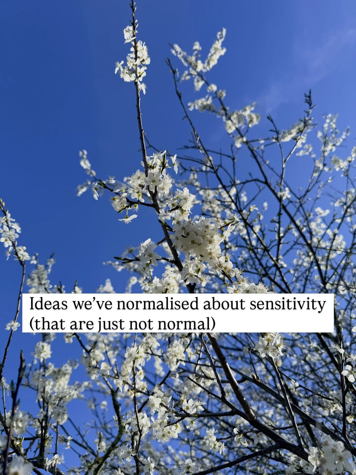 If you&rsquo;ve spent most of your life feeling like you&rsquo;re too much and not enough at the same time, this is for you.

Too sensitive. Too emotional. Too tired. Not resilient enough, not productive enough, not able to just get on with it like e