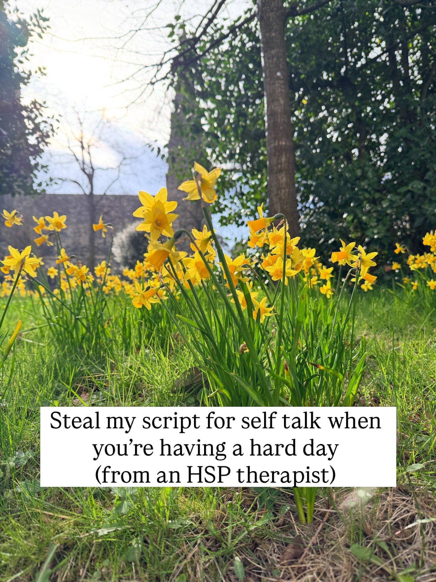 If you&rsquo;re highly sensitive, tough days can feel like evidence that something is fundamentally wrong with you.

Your nervous system processes everything more deeply and a difficult conversation or tension you picked up in a room can land differe