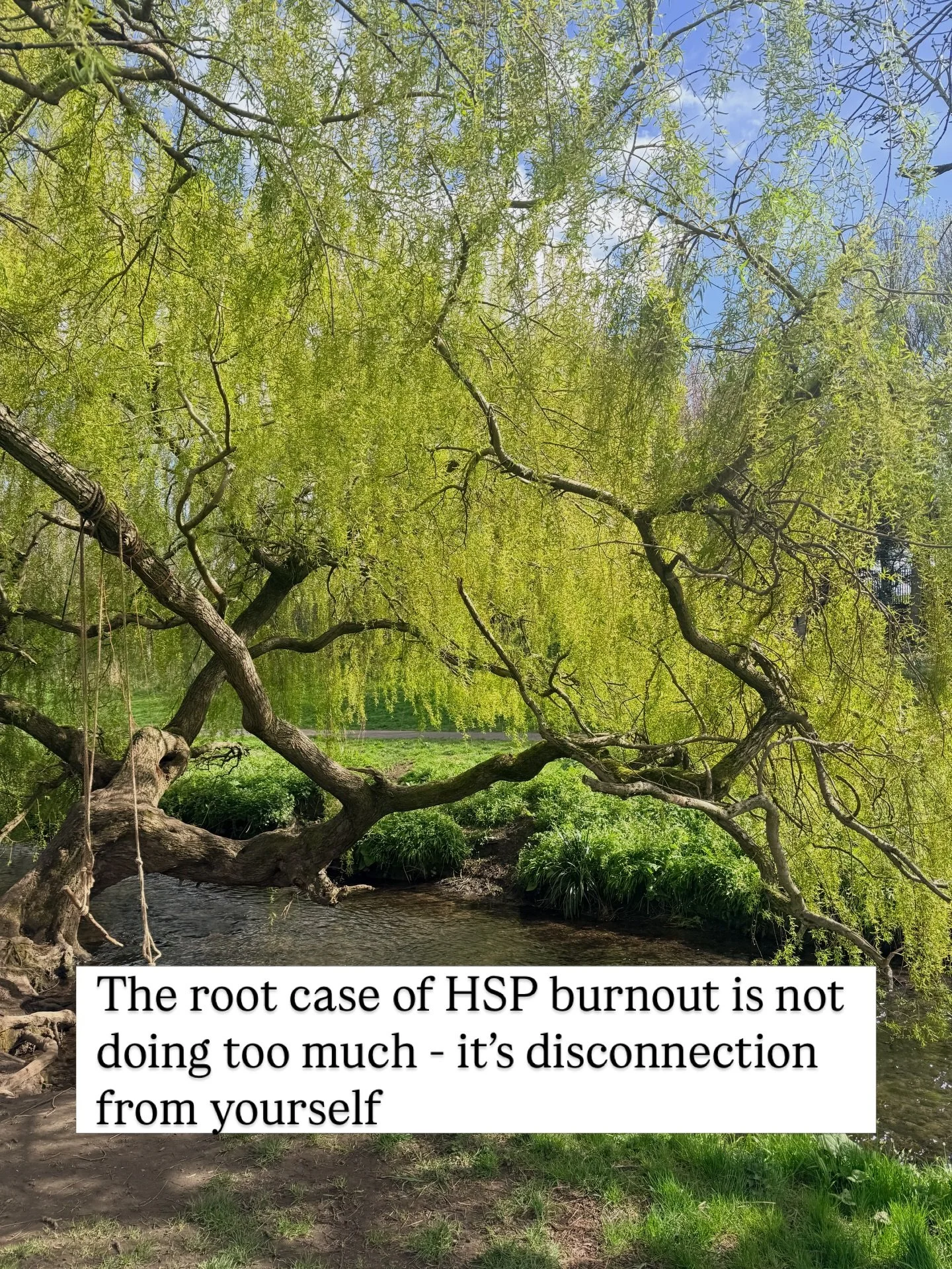 The most common thing I see in HSPs who are struggling is that they&rsquo;ve spent years disconnected from themselves. Overriding what they feel and pushing through what they need. Always trying desperately to fit into a pace and a world that was nev
