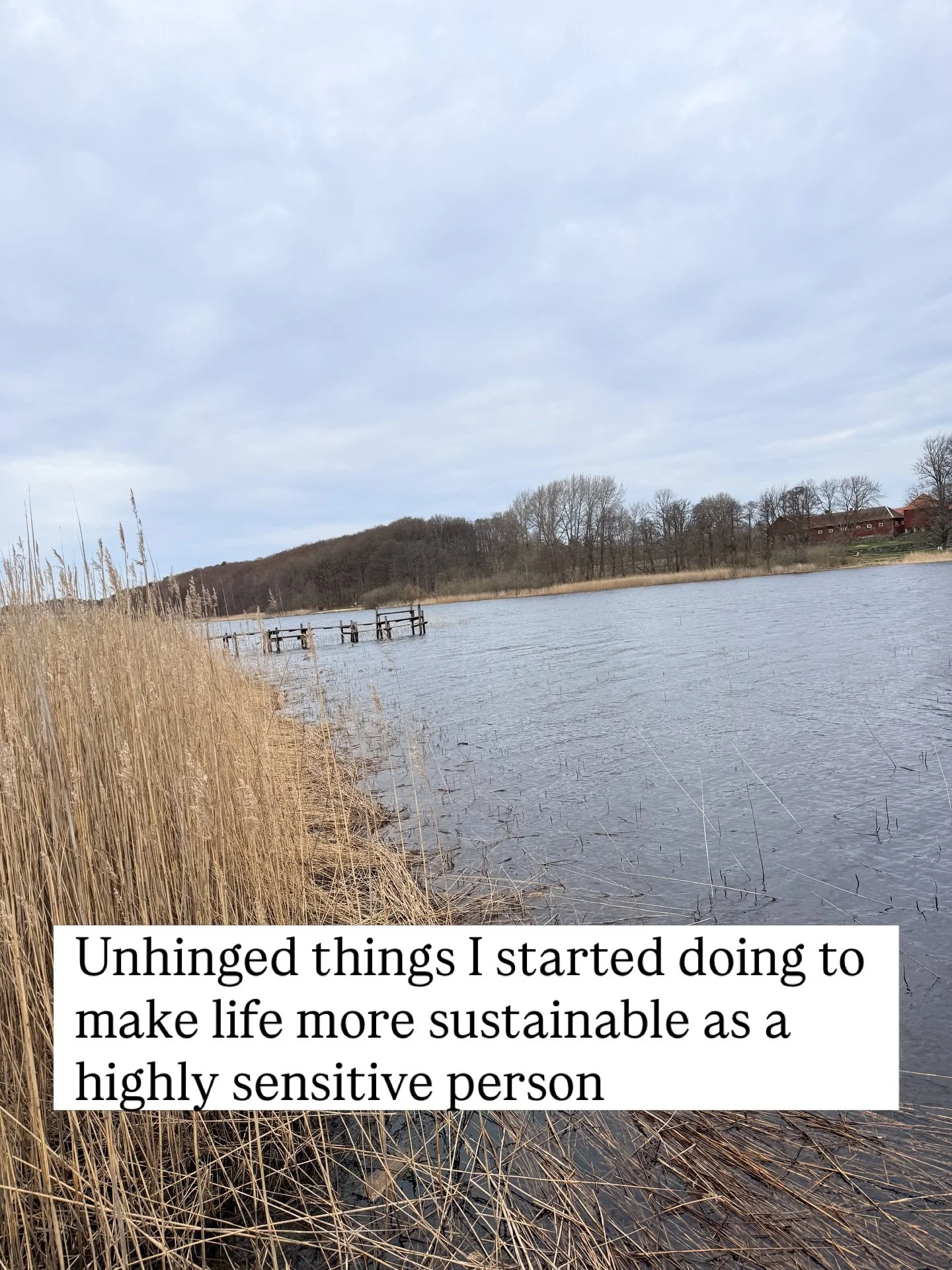 None of these things are actually unhinged.
They just look that way when you&rsquo;ve spent most of your life being told to push through, toughen up, and keep going.

If you&rsquo;re highly sensitive, the conventional advice was never designed for yo