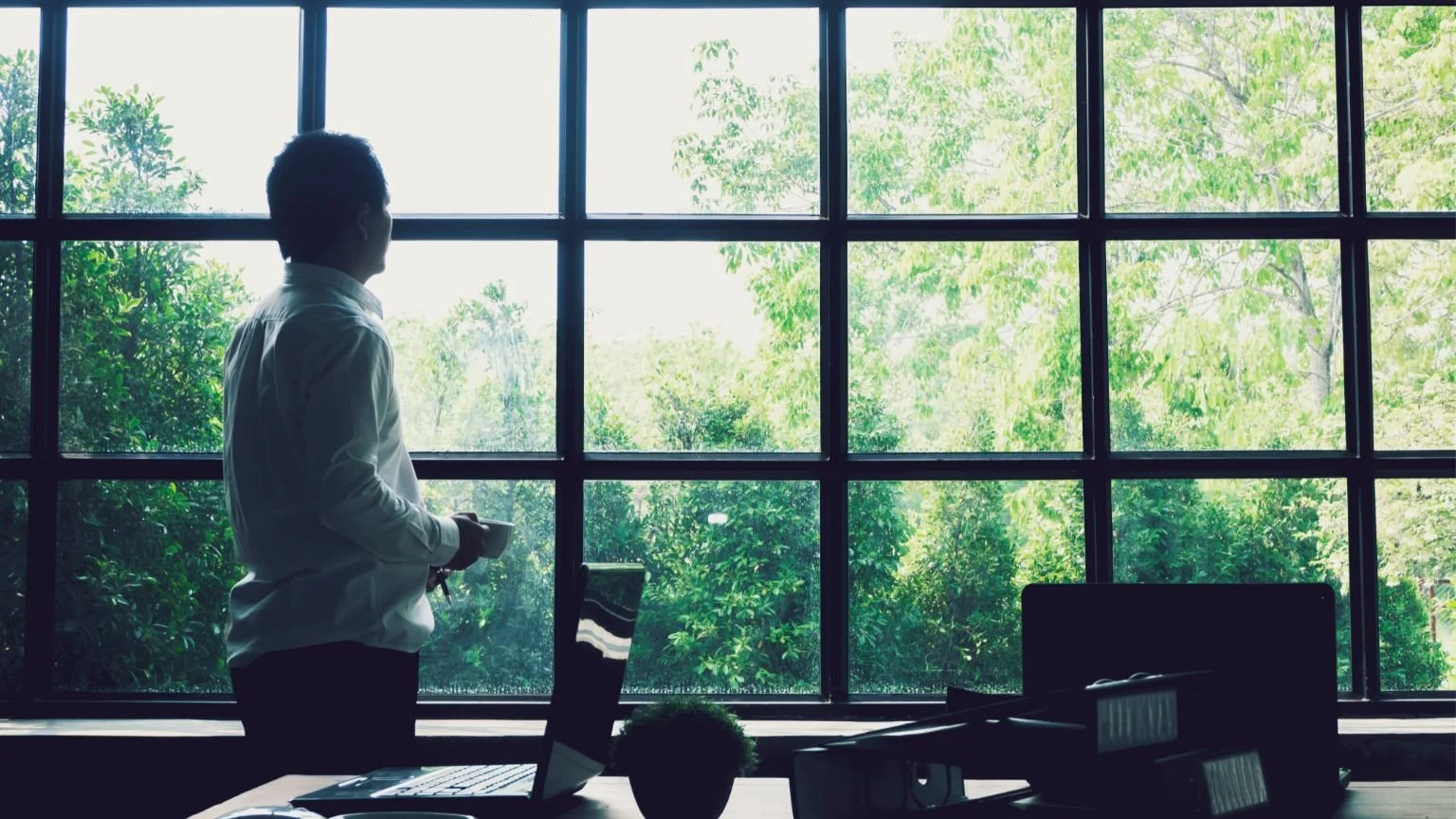 An executive leader facing a window overlooking a forest after receiving wellbeing leadership coaching.