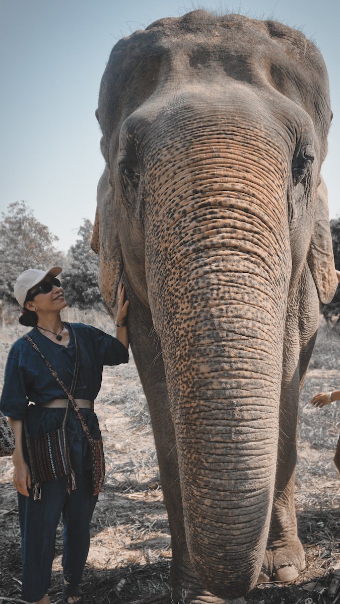 Elephant Sanctuary - Chiang Mai (Copy)