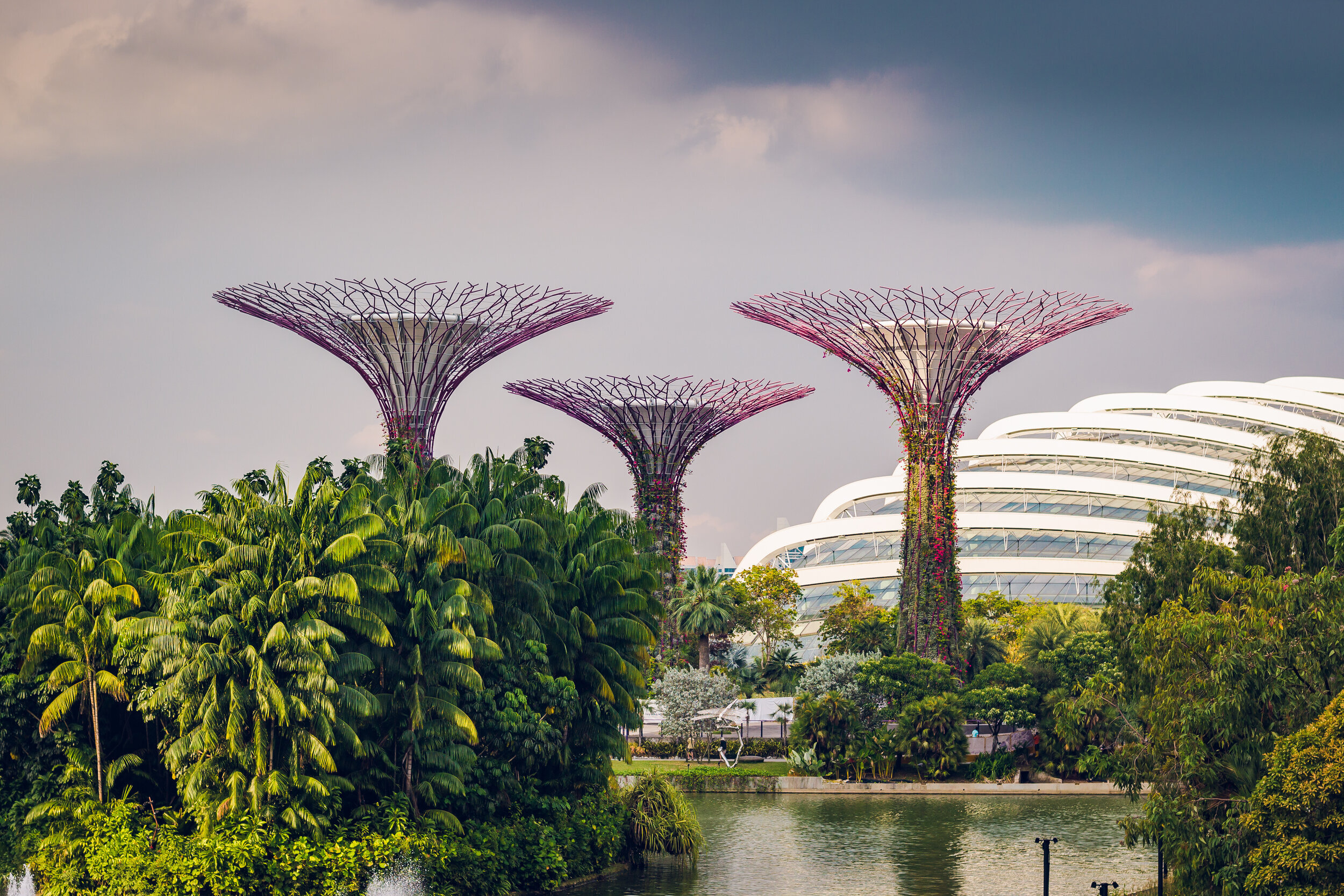 ARRIVING AT CHANGI AIRPORT: WHAT YOU NEED TO KNOW - Let's Explore Singapore