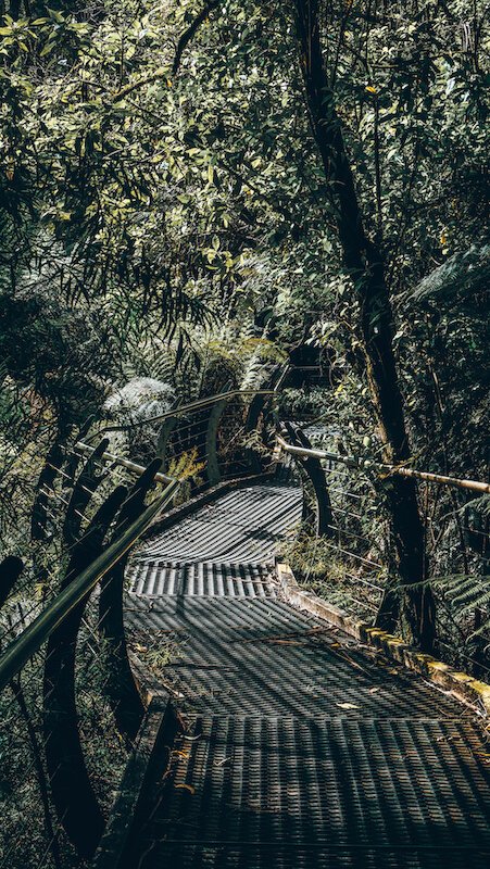 Triplet Falls - Great Otway National Park