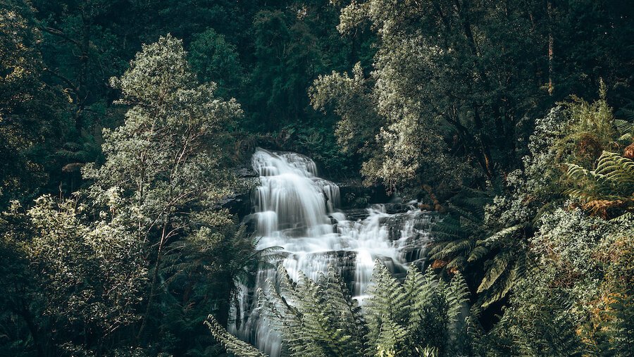 Triplet Falls - Great Otway National Park