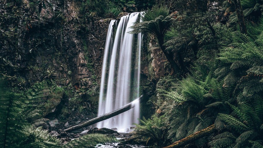 Hopetoun Falls - Great Otway National Park