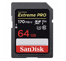 SanDisk 64 GB High Speed SD Card for Photographers (170mb/s)