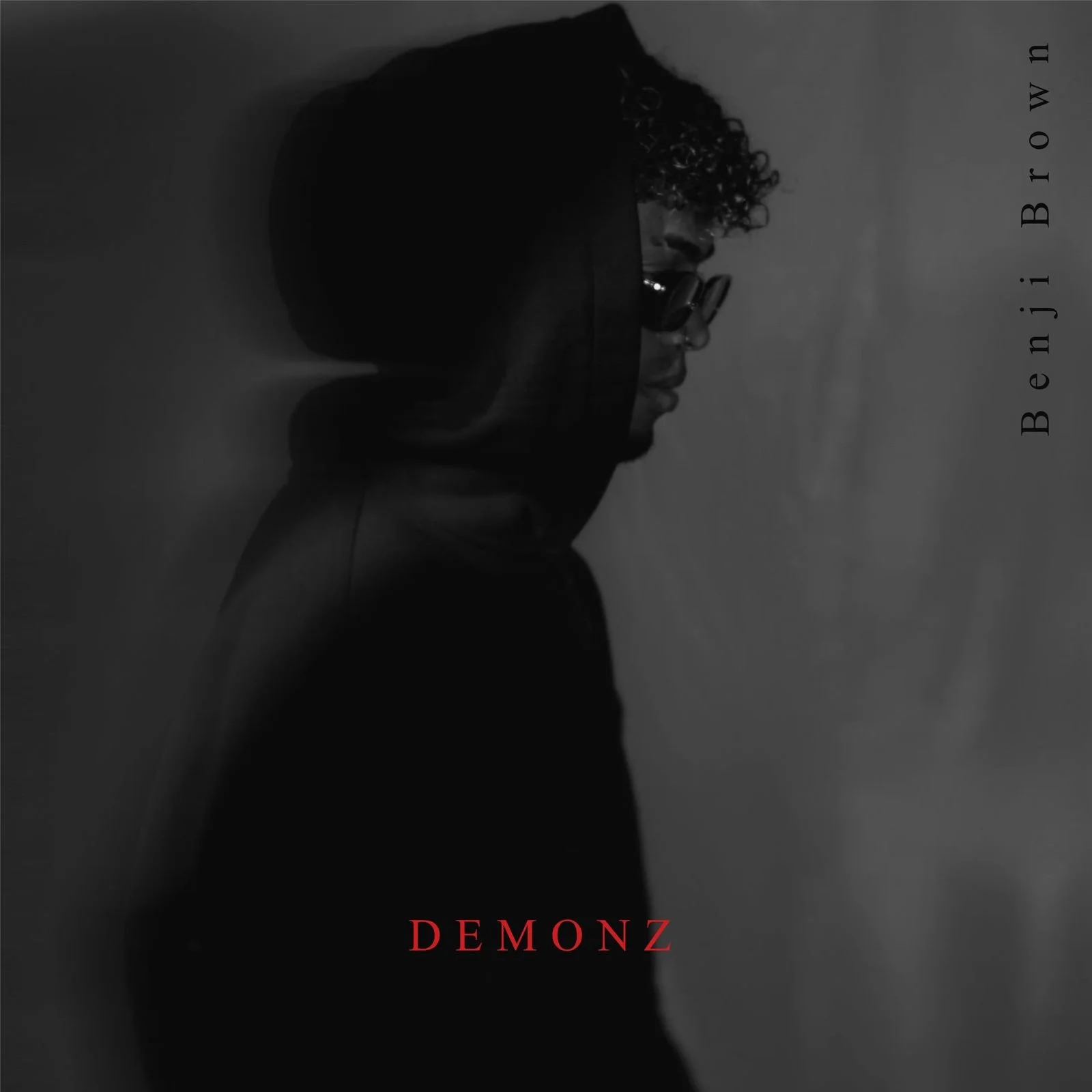 DEMONZ - 2025