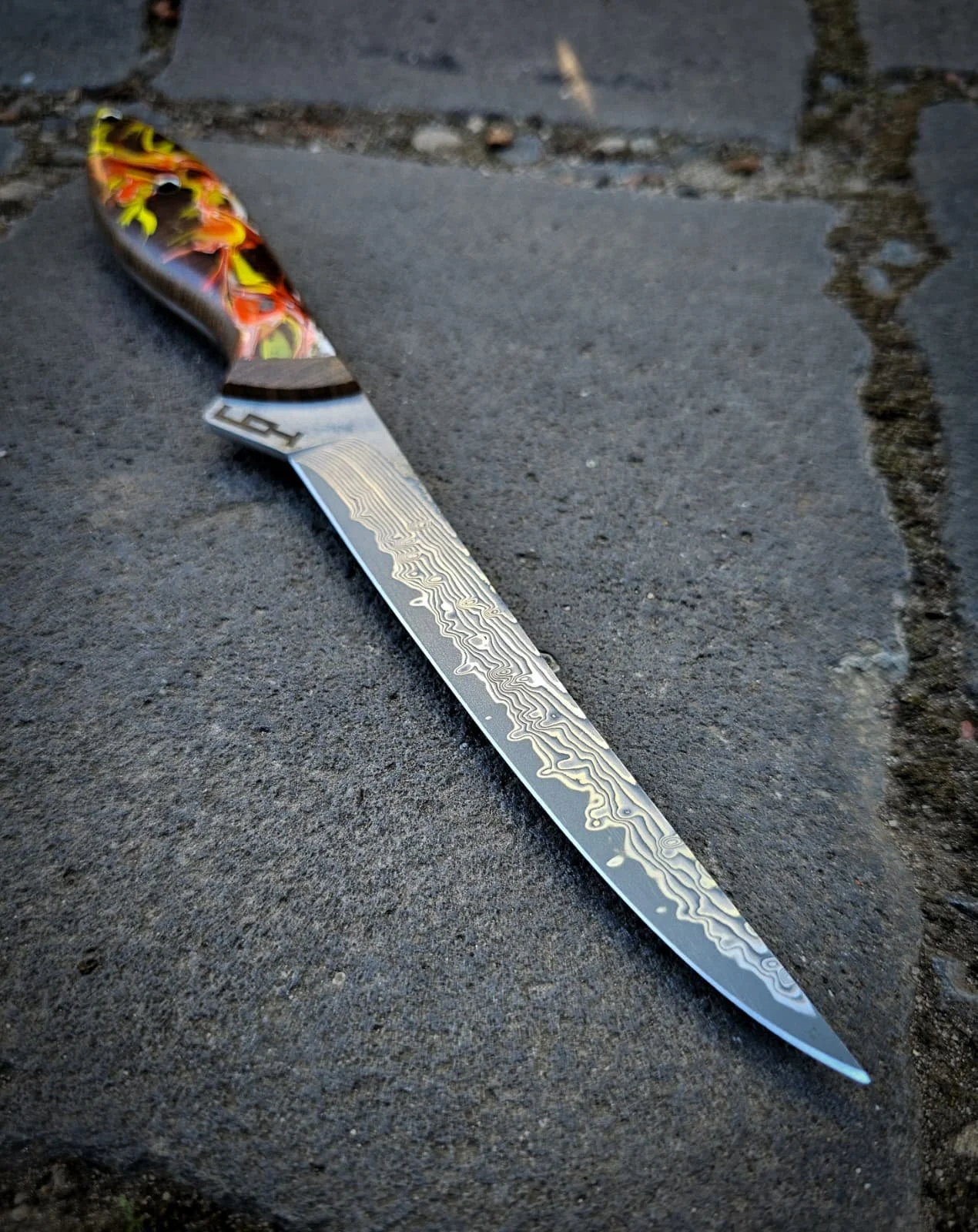 WhatsApp Image 2025-10-22 at 08.48.36.jpeg