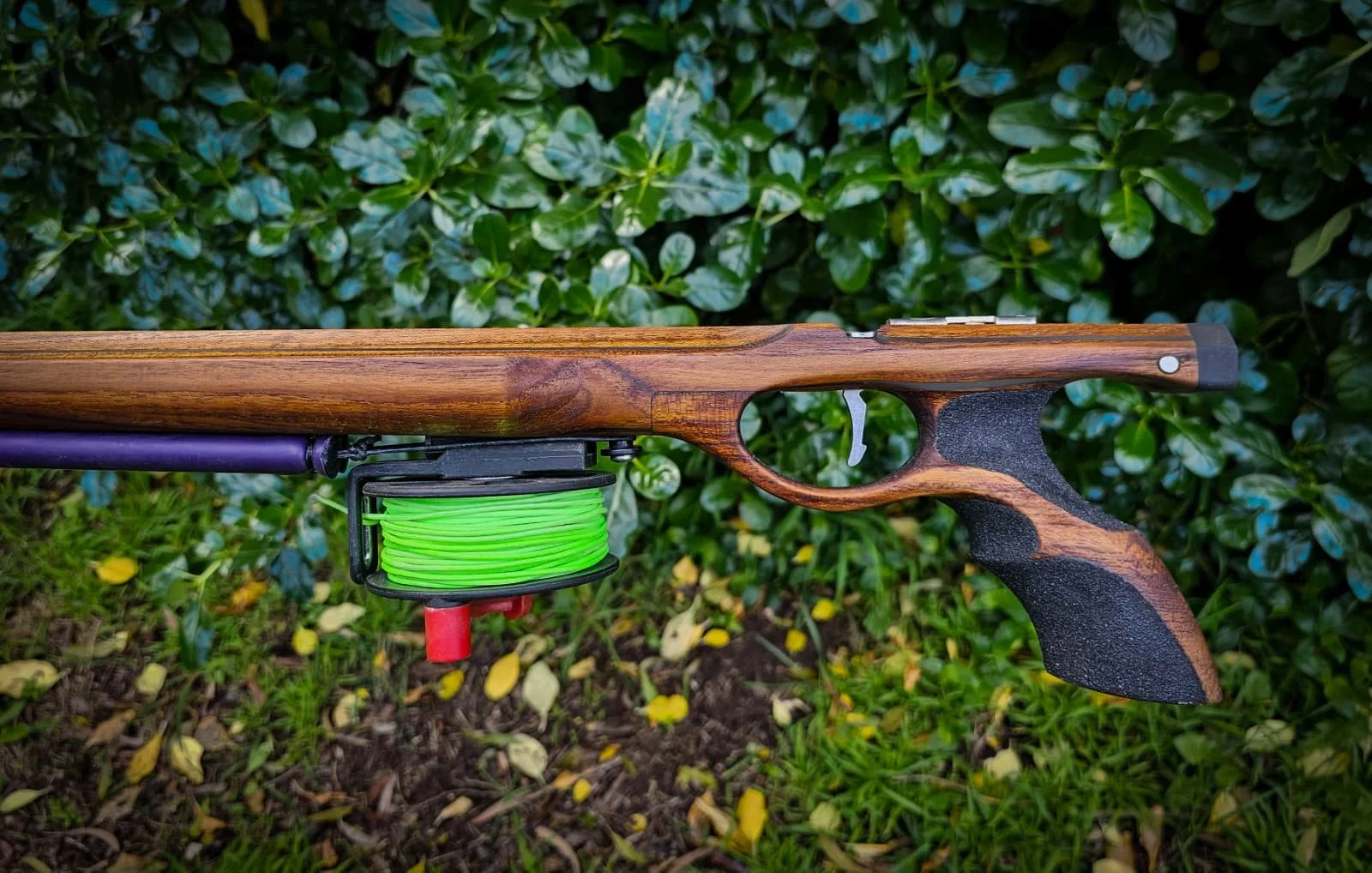 WhatsApp Image 2025-10-22 at 08.49.09.jpeg