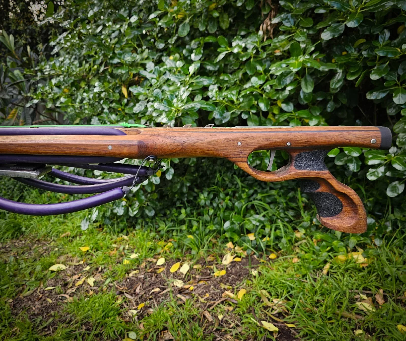 WhatsApp Image 2025-10-22 at 08.49.10.jpeg