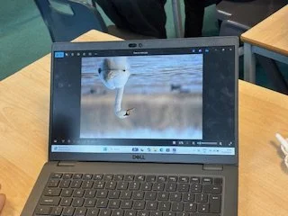 Computing editing 3.jpeg