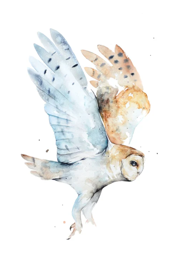 Owls (Autism Resource Provision - ARP)