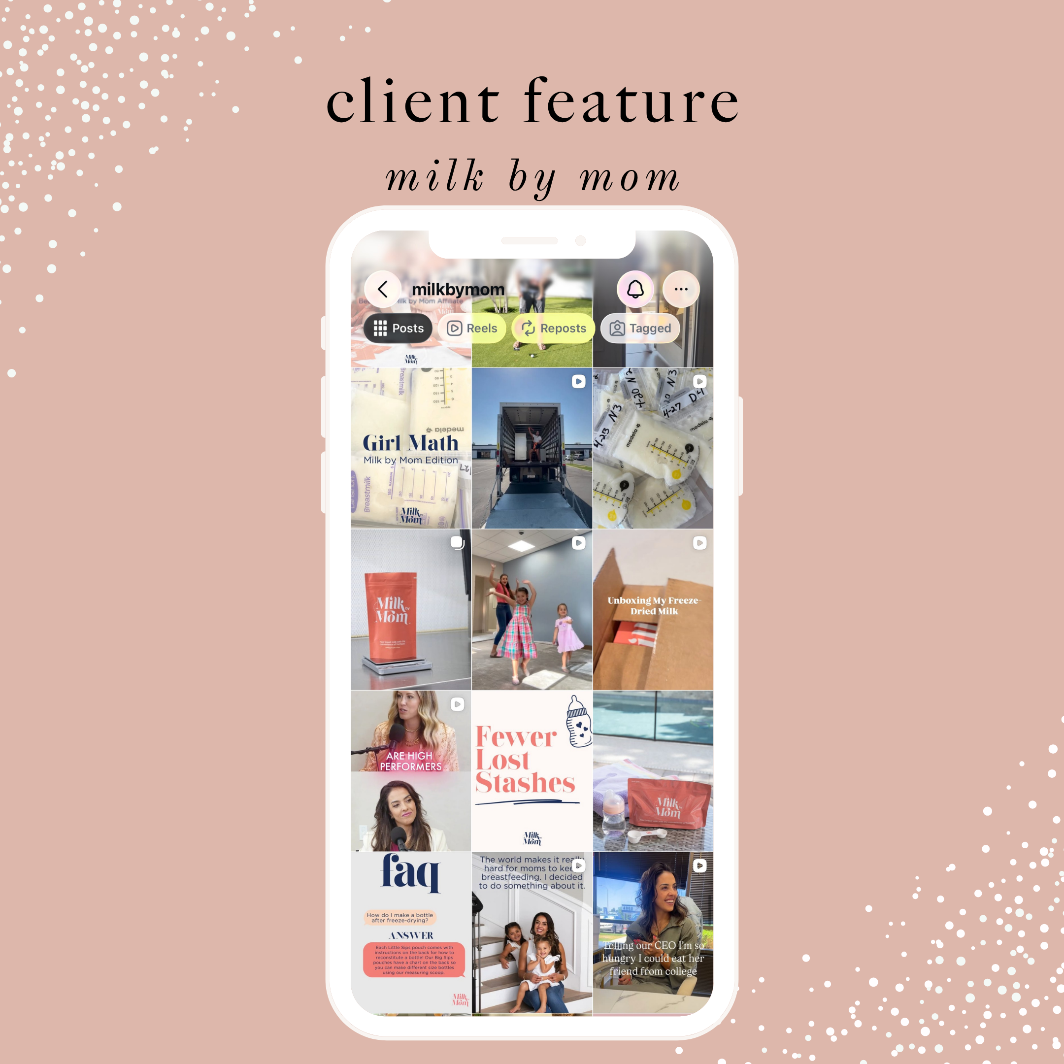 client features.png