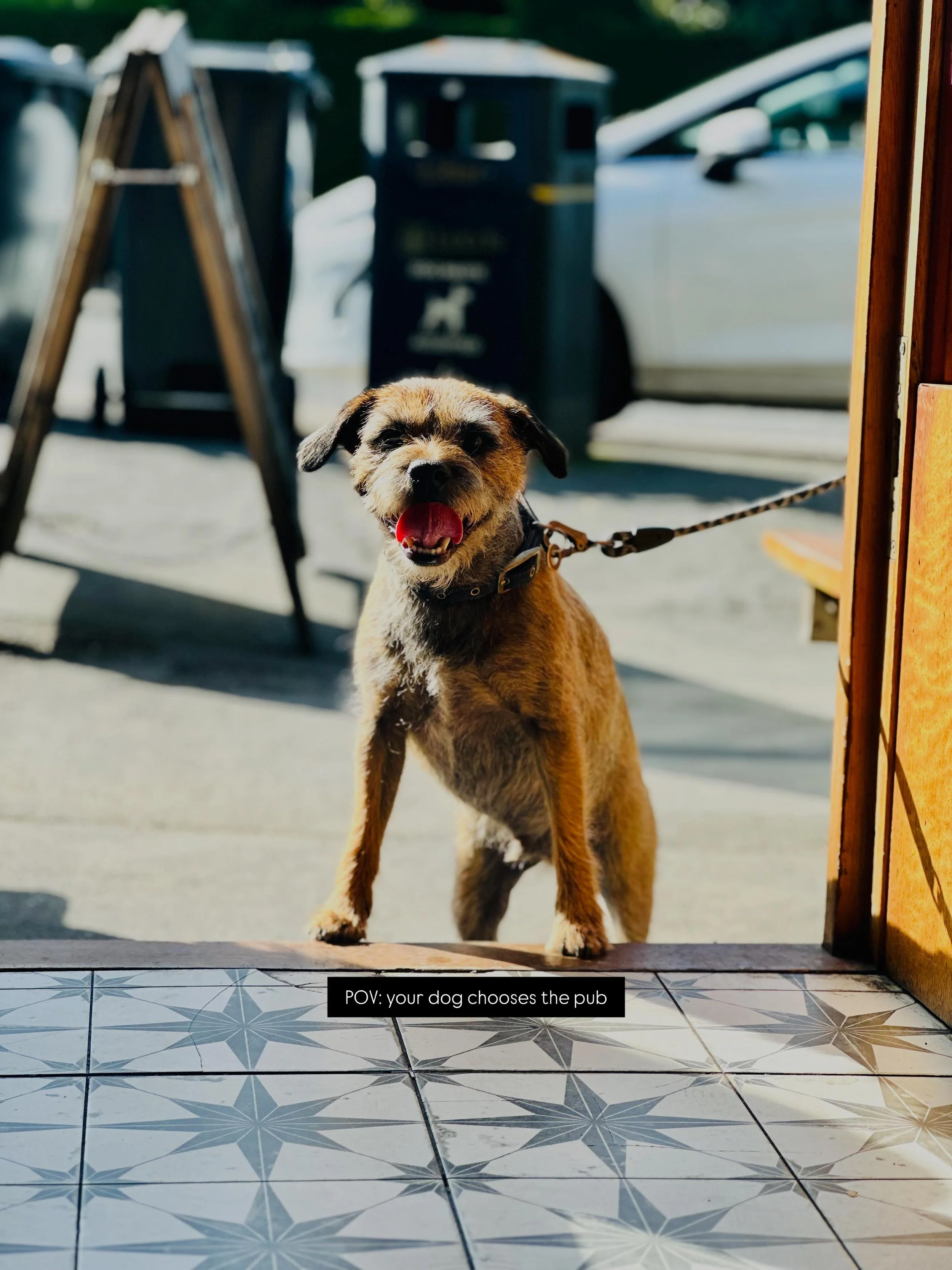 🐶☀️ Long weekend plans?
Step 1: walkies.
Step 2: pub.
Step 3: treats for you and for them at Granvilles. 🍻

We&rsquo;re dog friendly with water bowls, fuss on demand, and Woofchesters treats behind the bar for the goodest boys &amp; girls 🦴

🍻See