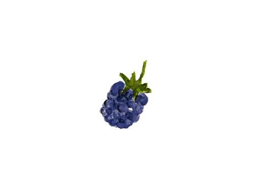 Other Button smaller.png