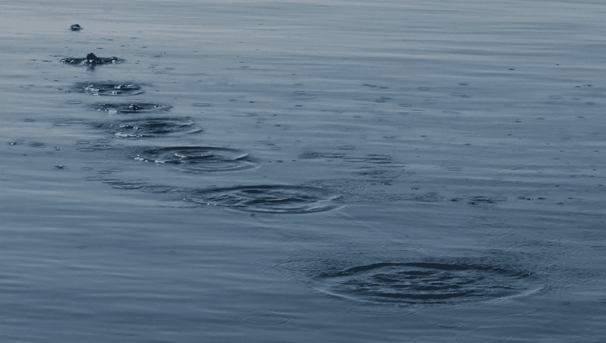 2026 1st Quarter Letter 