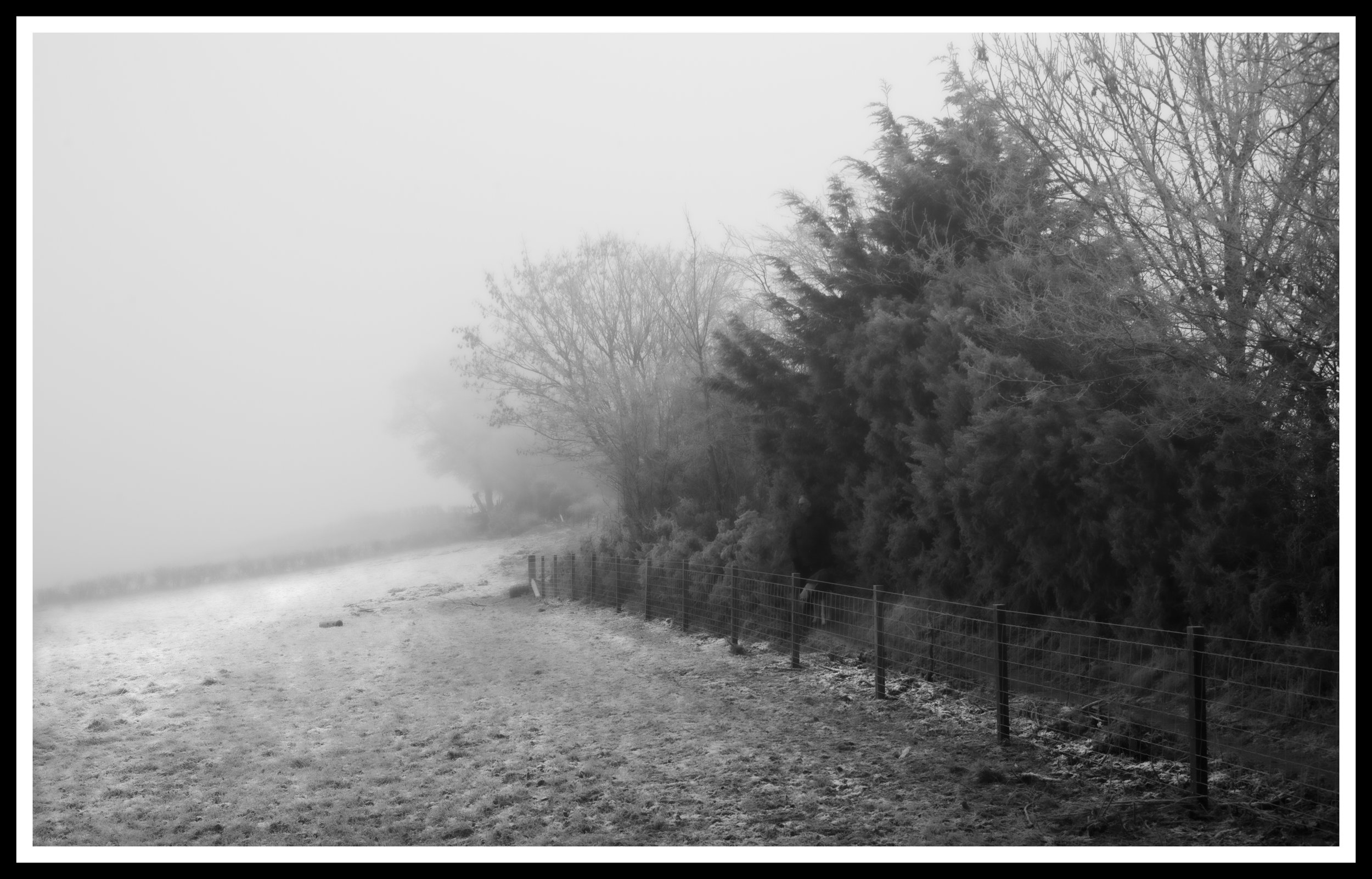Fenceline