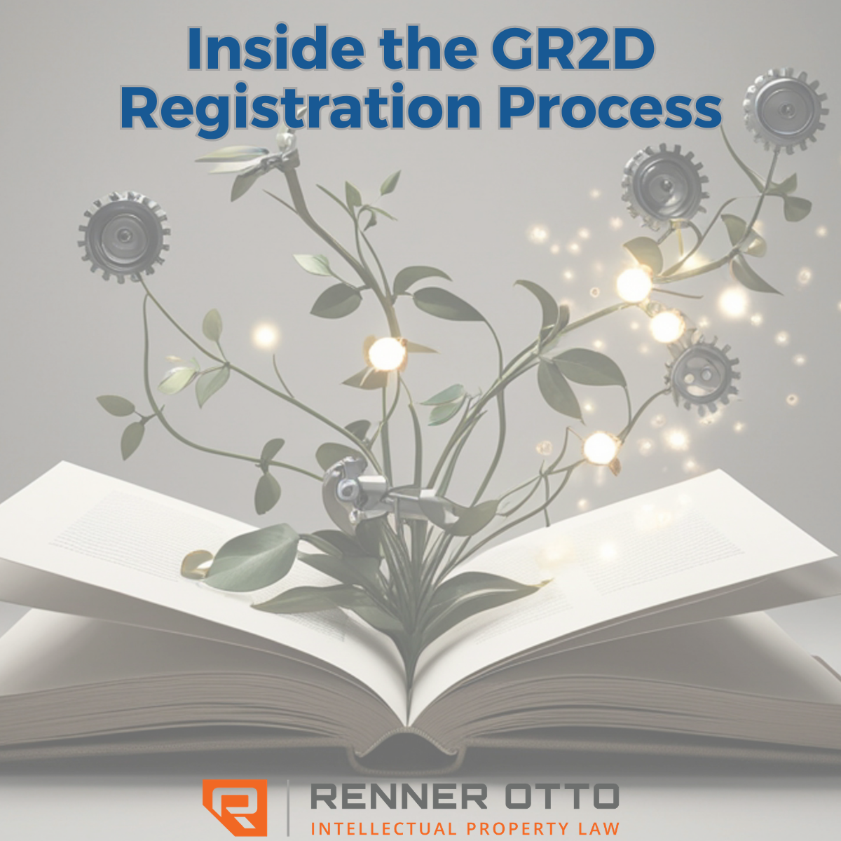 A Smarter Way to Protect Your Art: Inside the GR2D Registration Process
