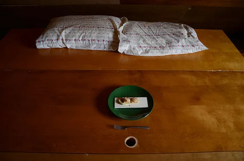 Fargo Dinner_sleeping room.jpeg