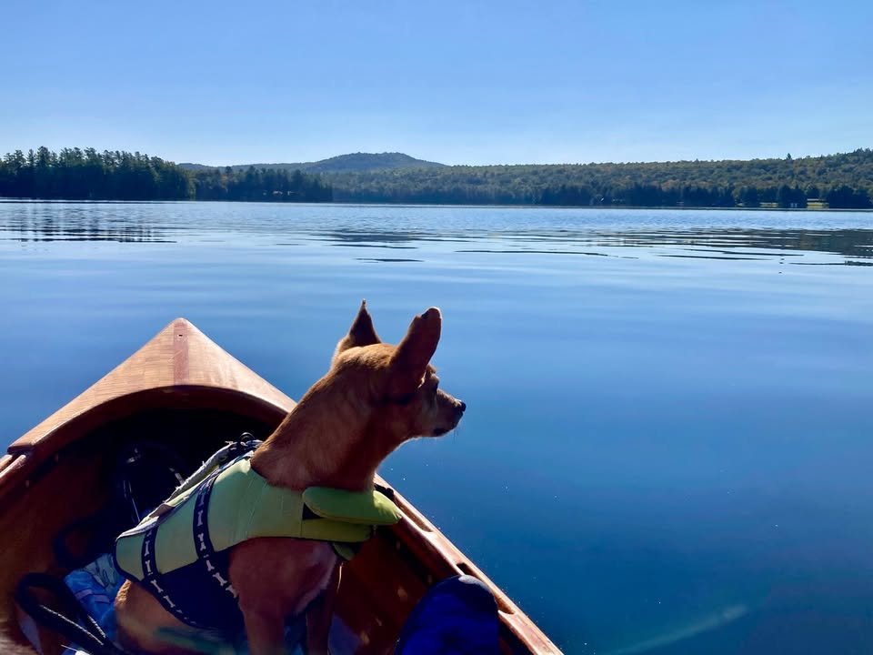 Enjoying a day on the water in the canoe