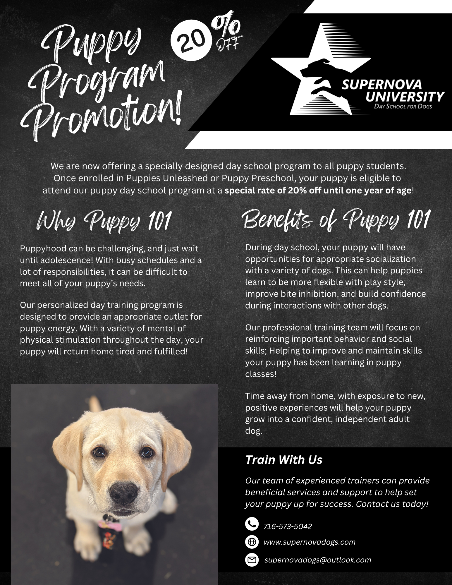 Puppy Program Promotion | Join Our Puppy Training Program — SUPERNOVA DOGS