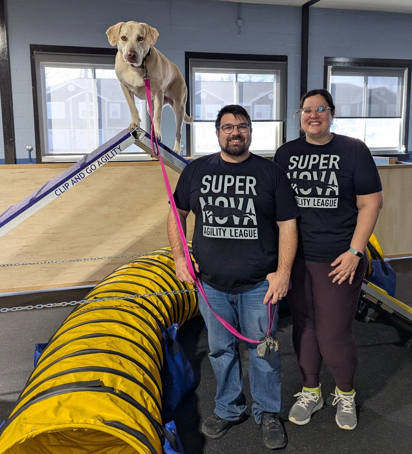 A dog standing on agility training equipment with two smiling people standing beside it. The dog is a light-colored mixed breed on a pink leash, and the people are wearing black T-shirts with 'Agility League' printed on them. The scene is indoors, with windows in the background, and agility tunnels and equipment on the floor.