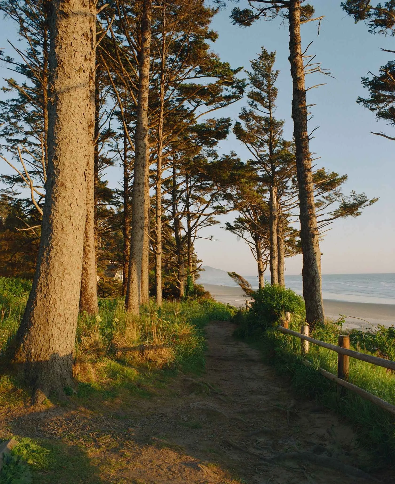 kodak-ektacolor-film-pro-800-sample-image-pathway.jpg