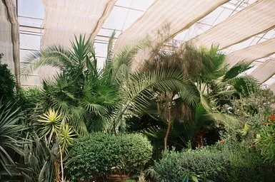 fujicolor 1.jpg