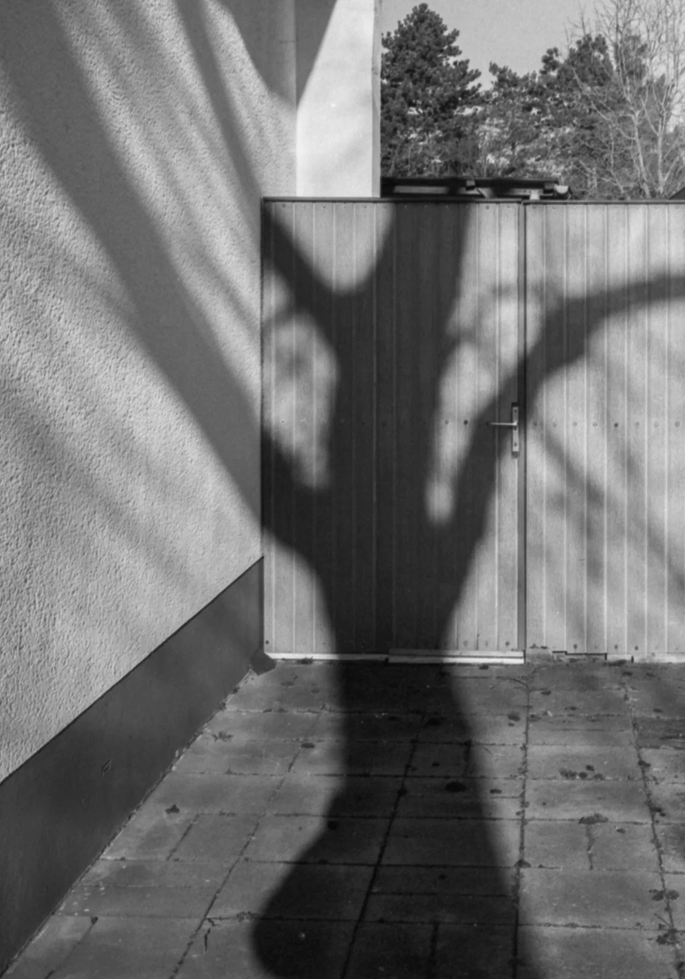 lucky 400 film 3.webp