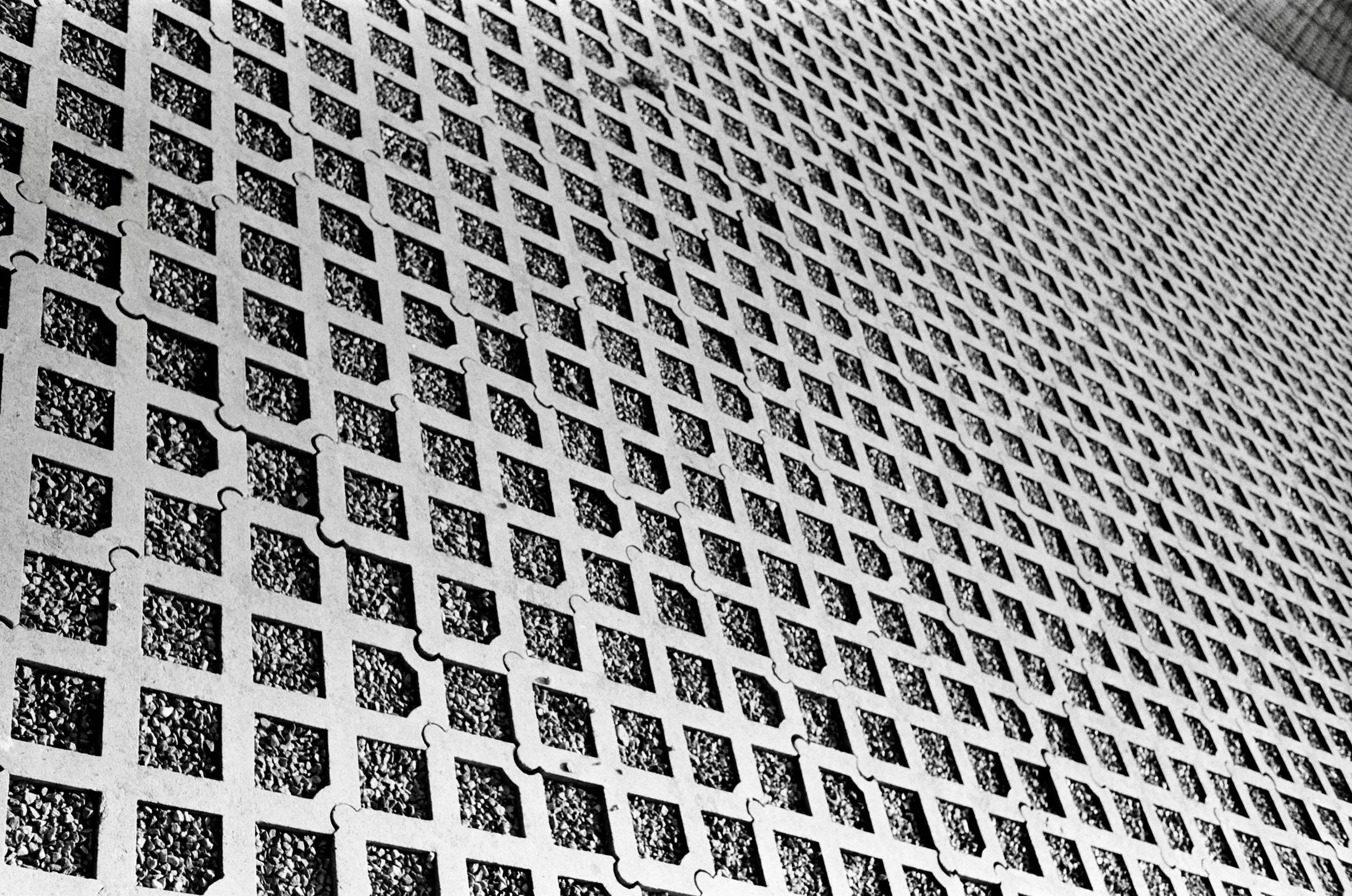 fp4 2.jpg