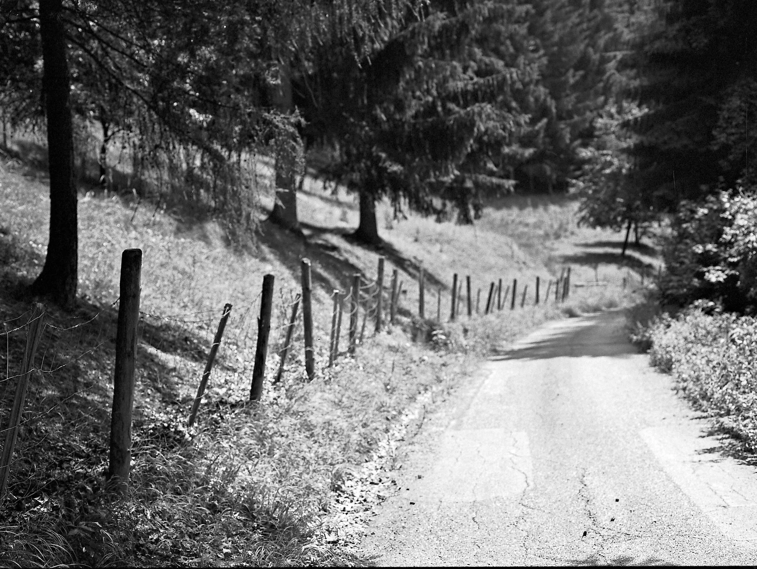 ilford xp2 1.jpg