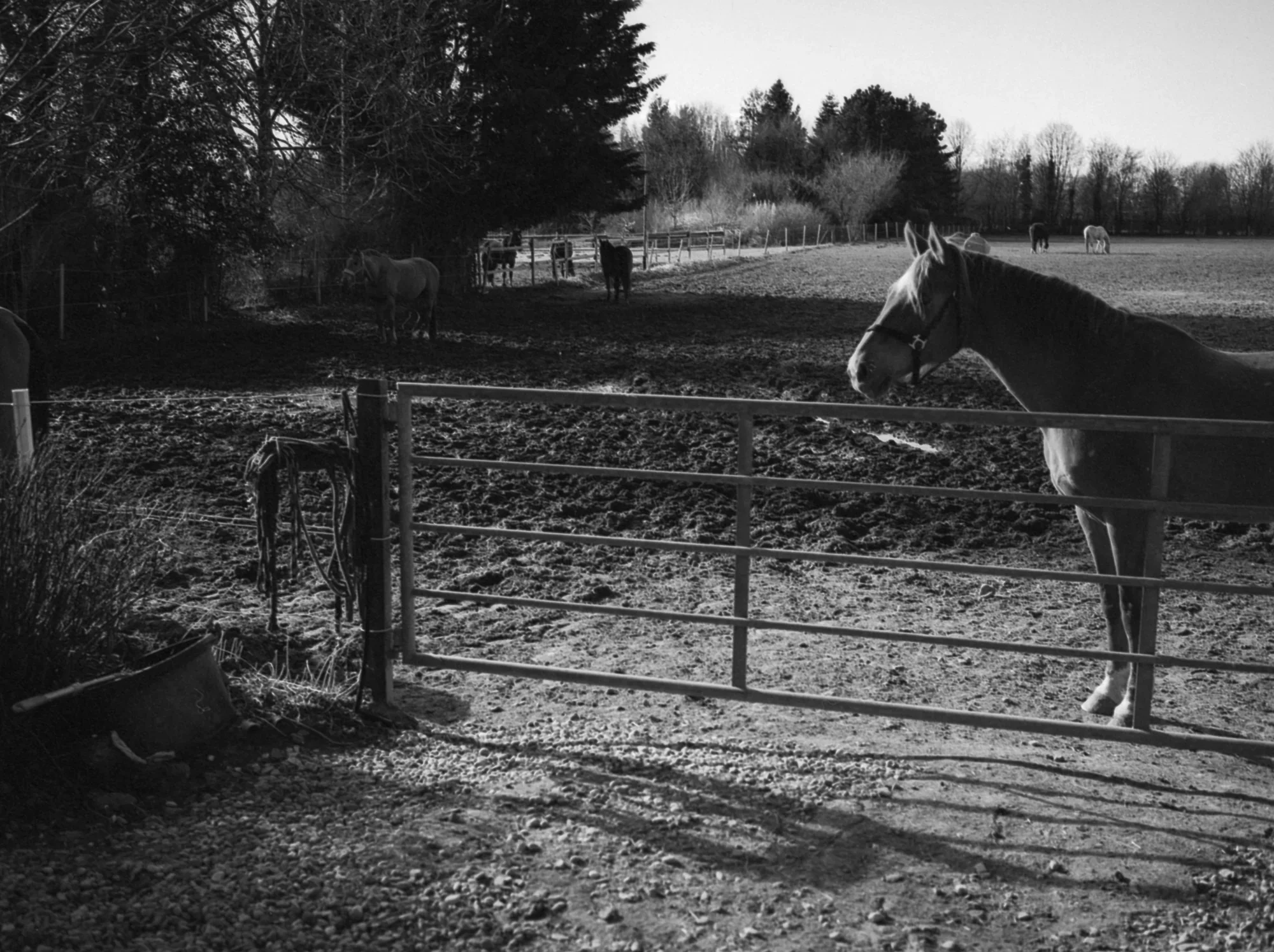 lucky 400 film 1.webp