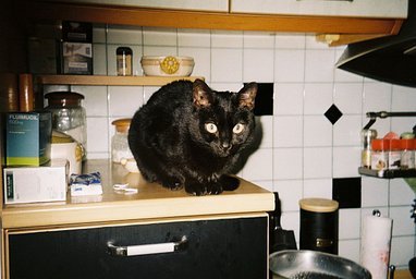 kodak gold 1.jpg