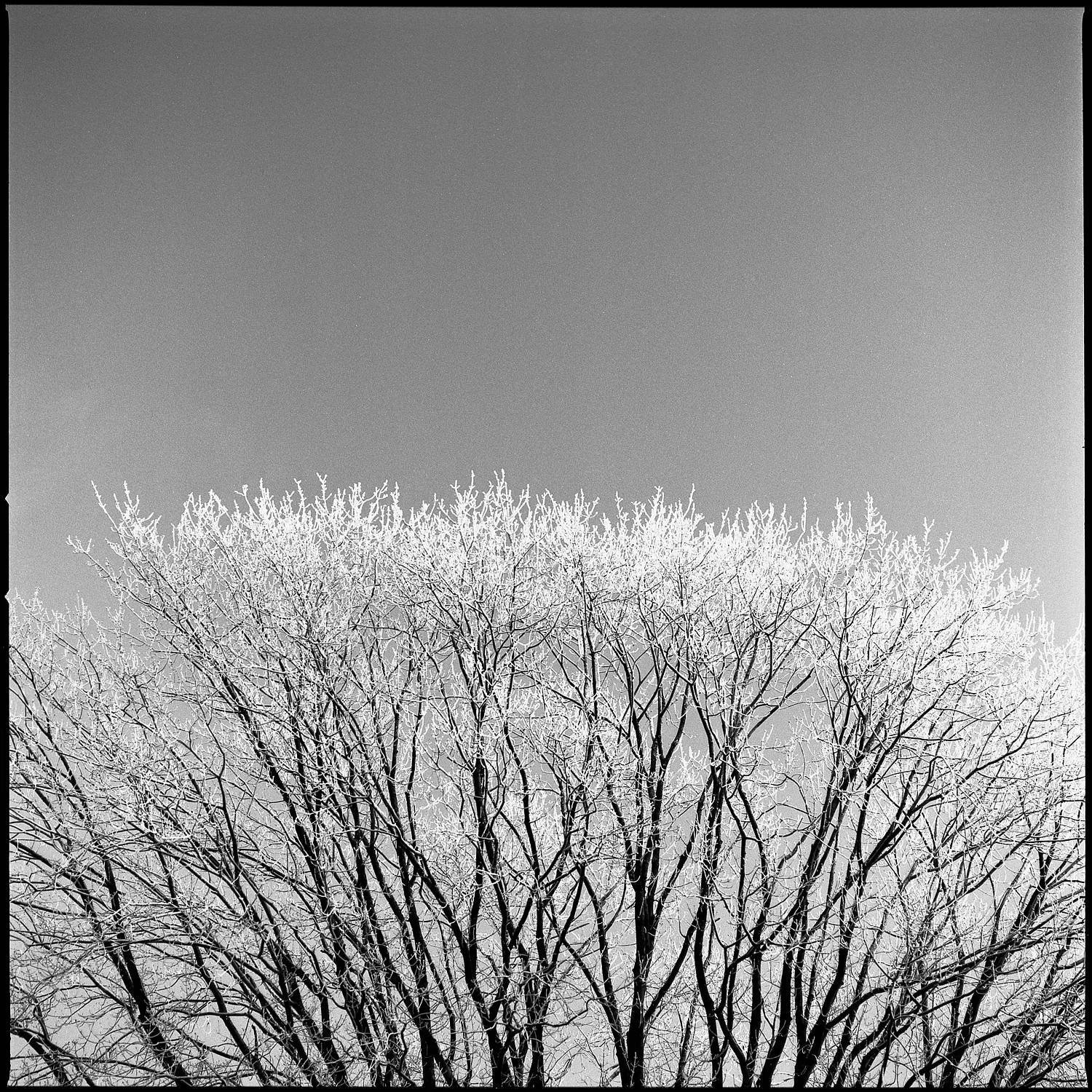 fp4 1.jpg