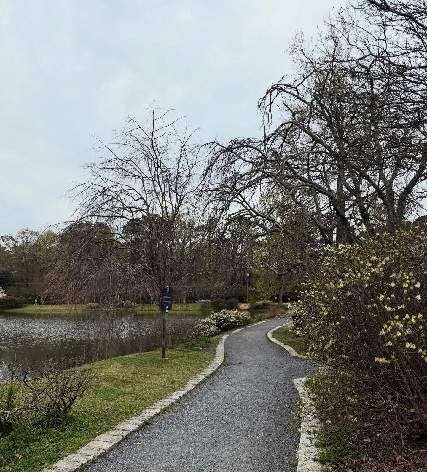 Spring is two days away.

This is the season where the intentions planted in the quiet of winter begin to take form. Little by little, life stretches towards the sun, reminding us that growth happens above and below the surface.

Some blooms arrive m