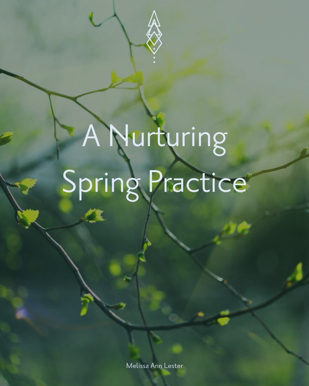 Wherever you are in your blooming &mdash; it is exactly right.

Swipe through for a gentle spring practice to help you remember.

Subscribe to my newsletter &mdash; link in bio.

#bloominginyourowntime
#springhealing 
#naturemedicine
#sensitivesouls 