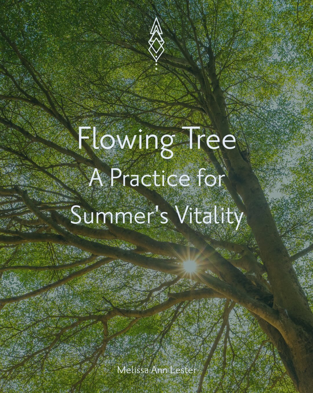 Summer is the season of fullness &mdash; when the light reaches its peak and everything in nature reaches toward it. 

This practice invites your body into that same energy. Flowing Tree is a simple Qigong practice blending breath and movement like t
