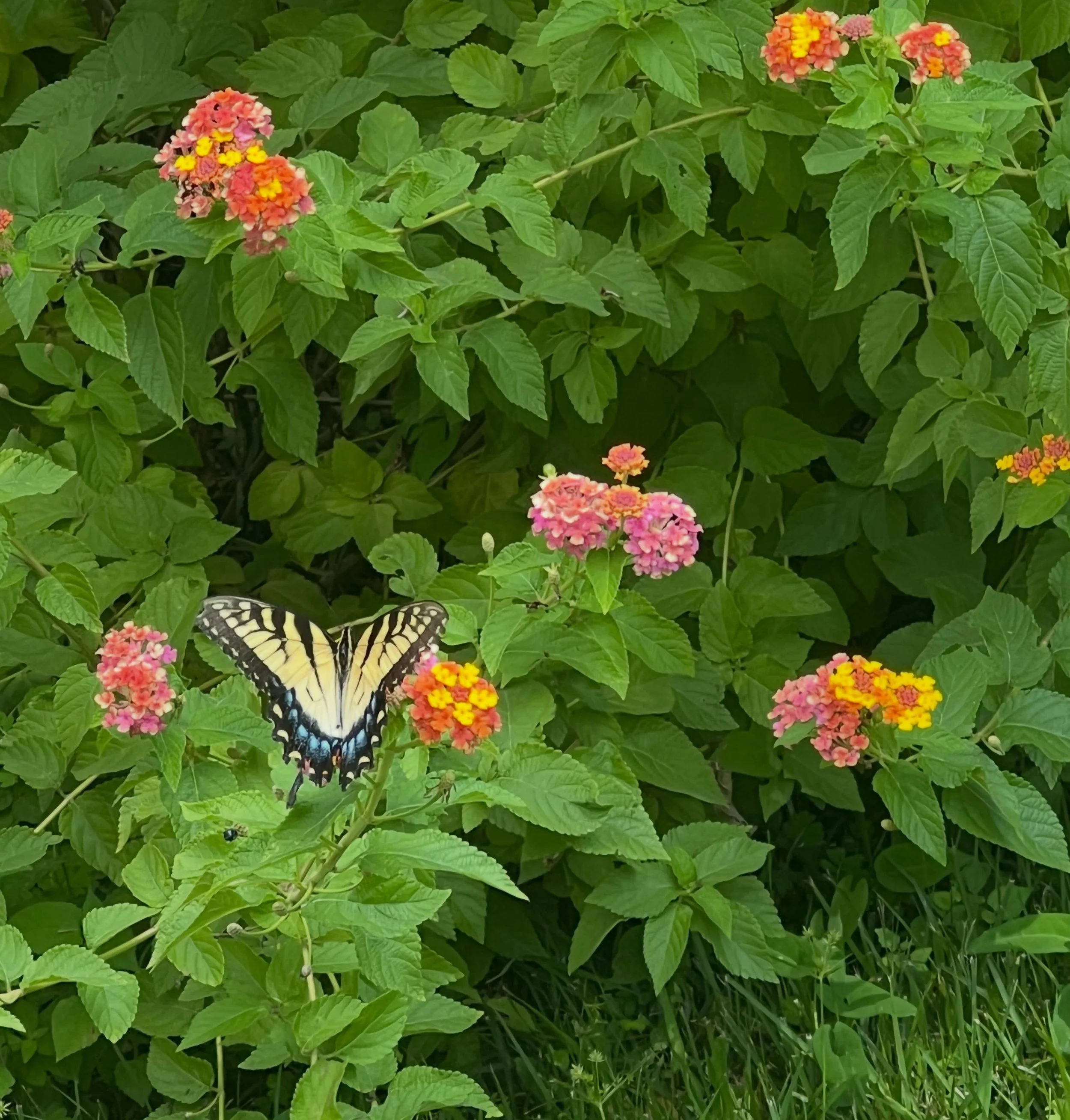 Some of the most beautiful and magical moments arrive in the most ordinary ways.

The other day I went to get some lab work done, and was met with a genuine connection. The phlebotomist who was taking care of me was such a kind and compassionate soul